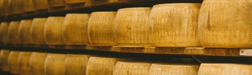 caroline-roose-hQFEUN2Upzw-unsplash