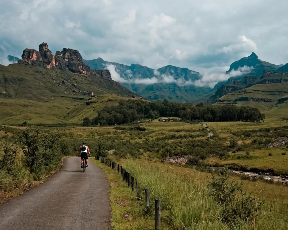 On The Road Tour de France